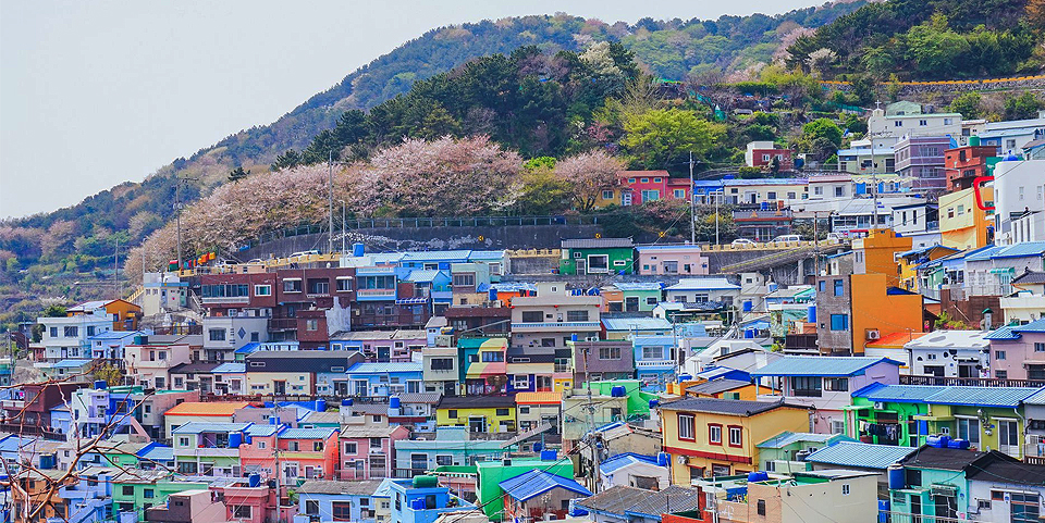 The Korean In Me, Bay Area Korean cultural non-profit